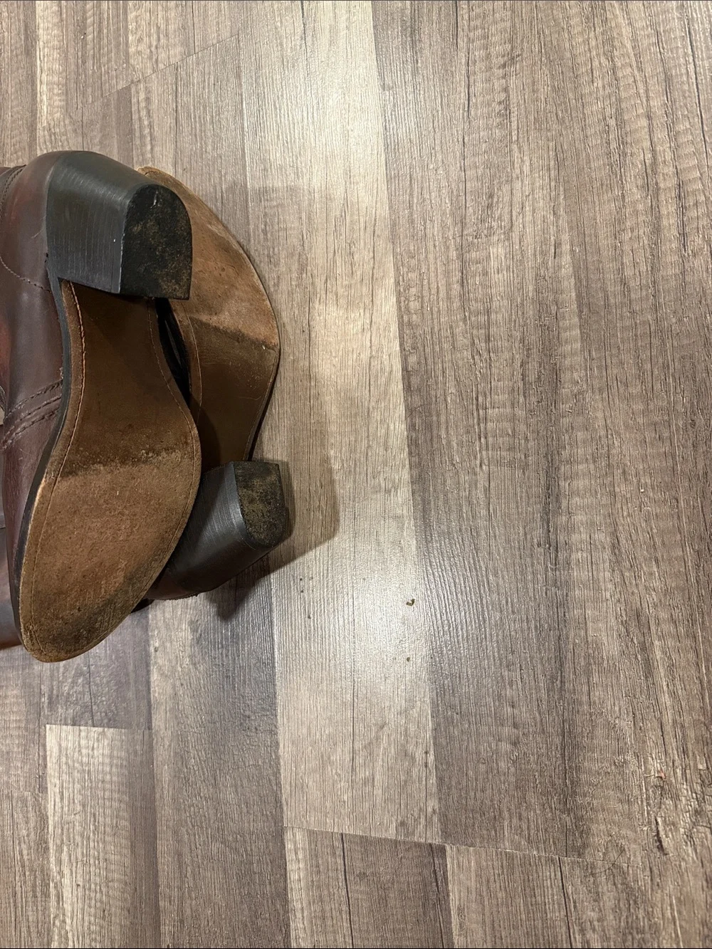 Frye classic tall